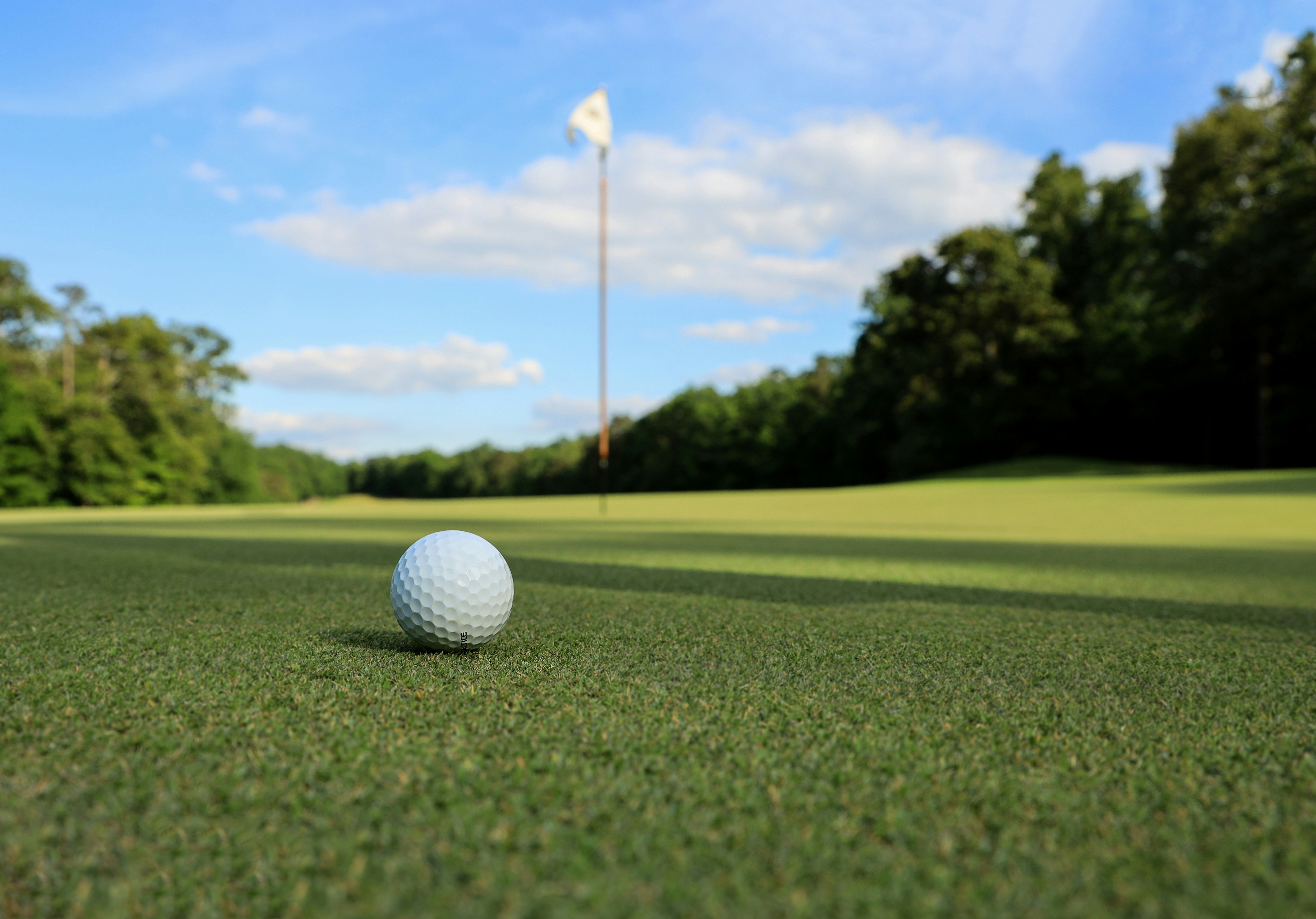 Join us for our Rhino Crash Golf Classic scholarship fundraiser!