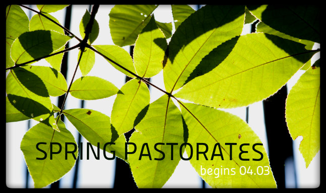 spring pastorates2