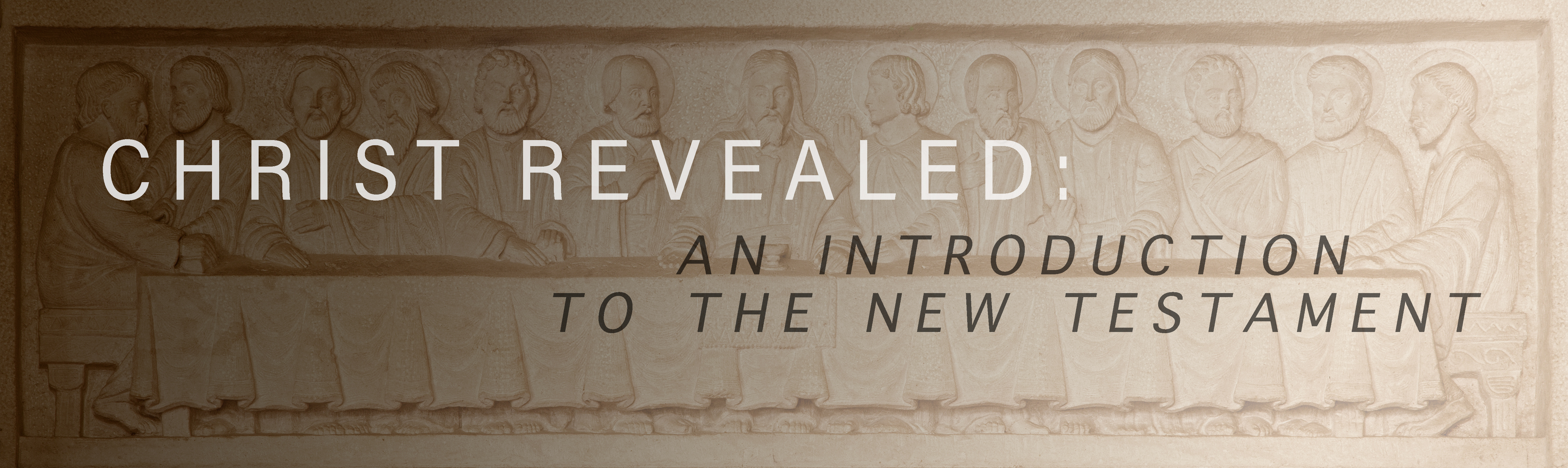 Christ Revealed: An Introduction to the New Testament banner