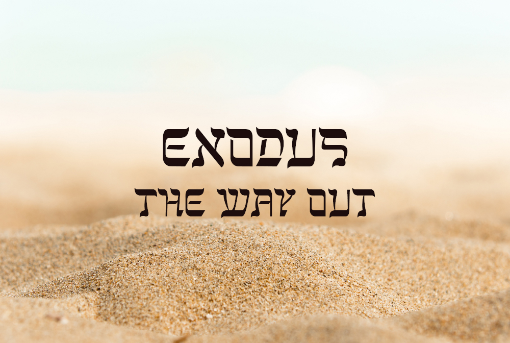 Exodus: The Way Out banner