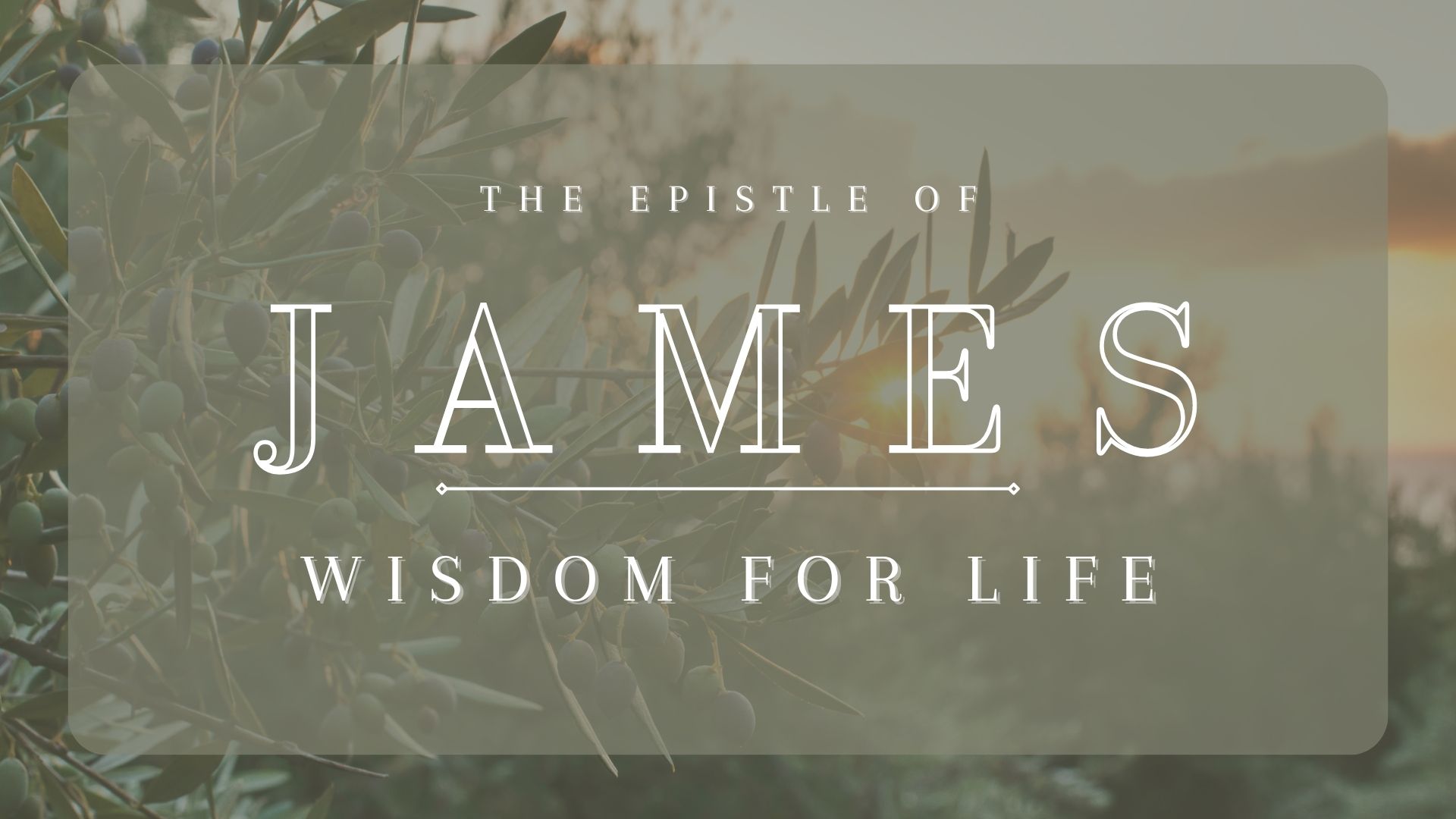 James: Wisdom for Life banner