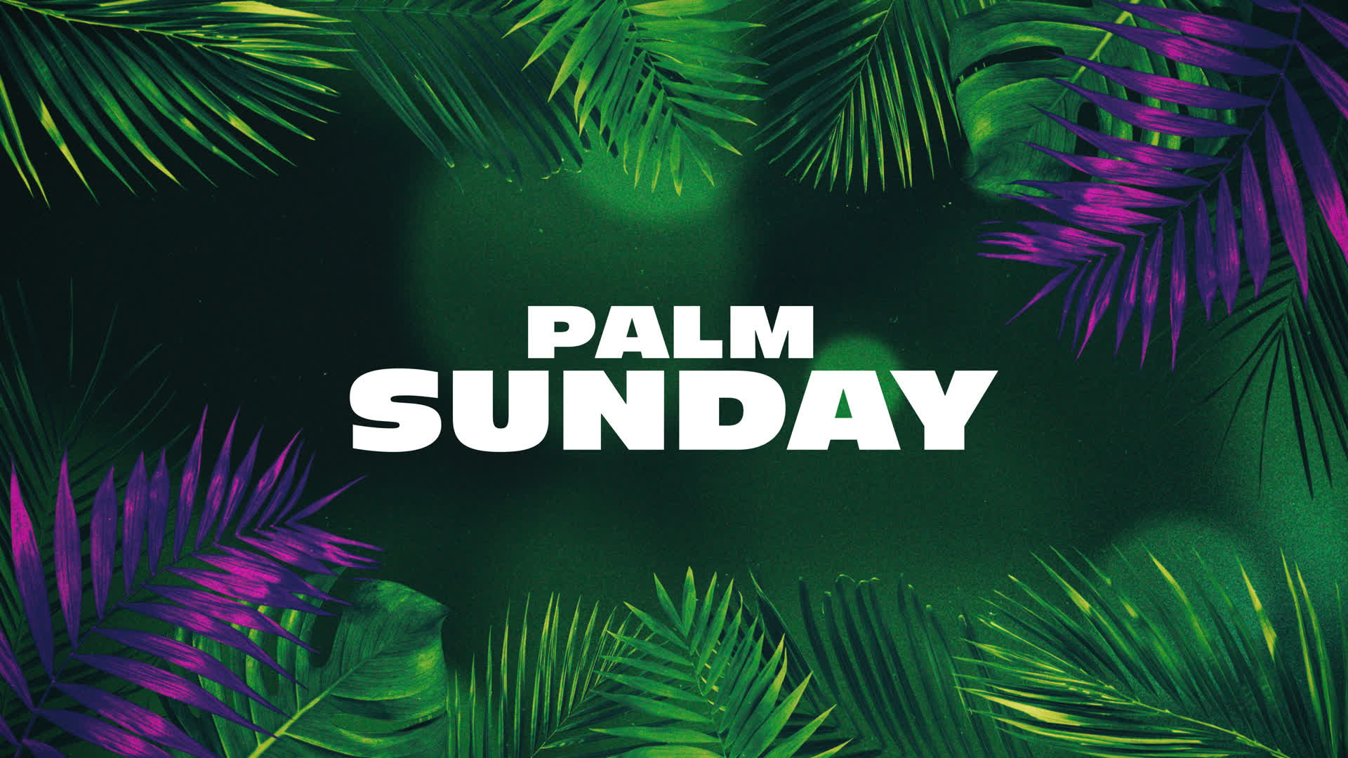 sermon series image