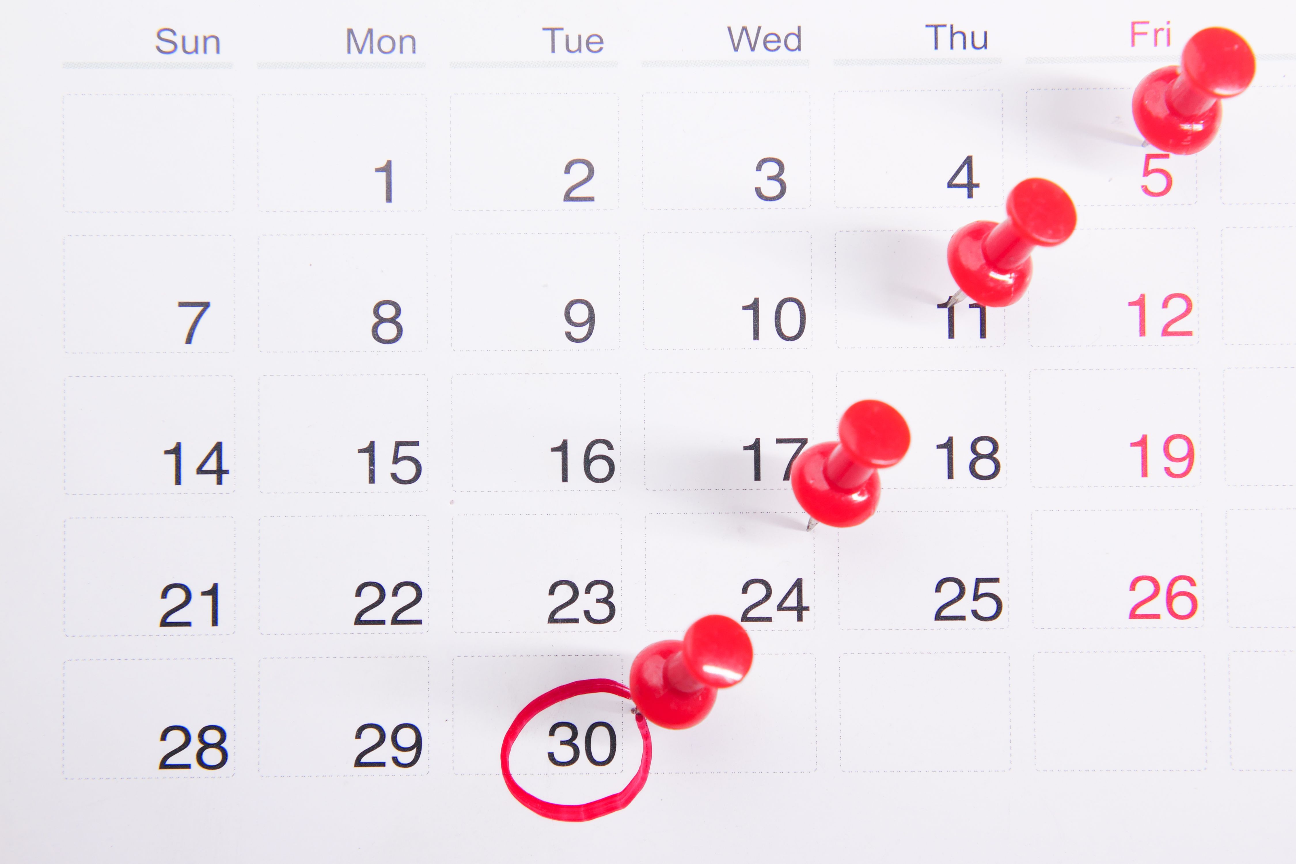 Calendar Photo 3440682 image