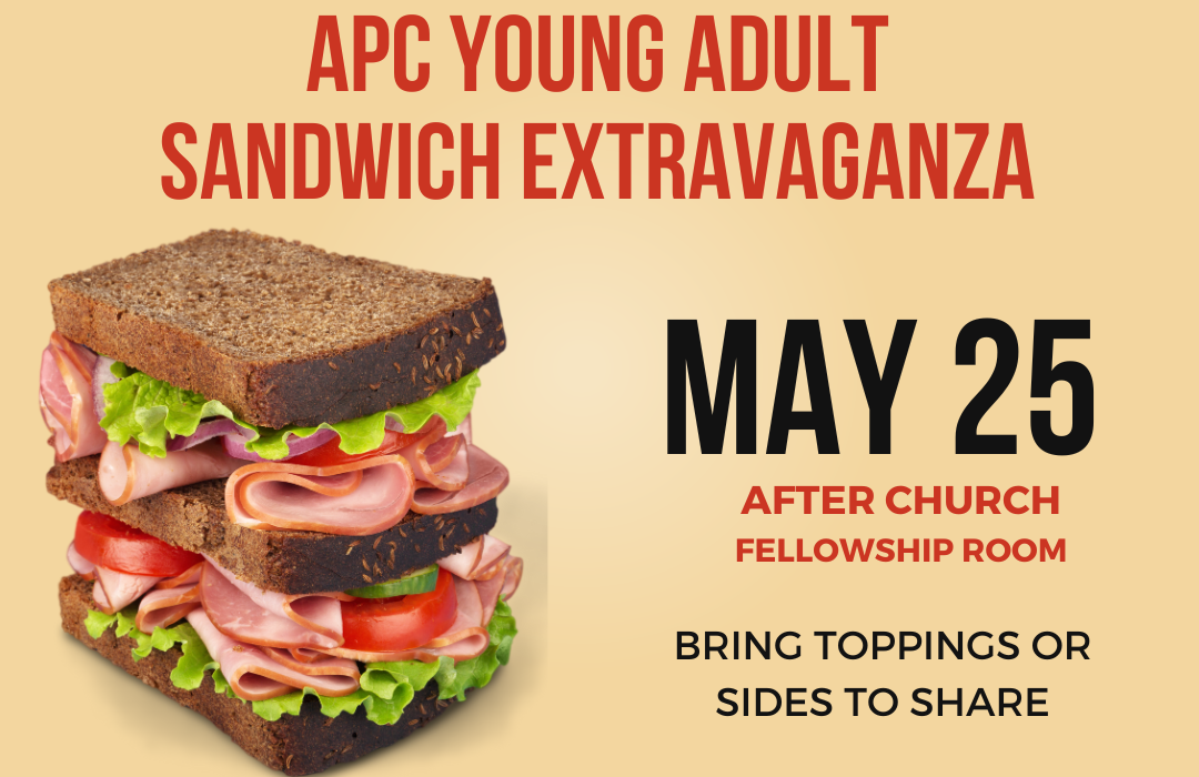 sandwich extravaganza (1080 x 700 px)