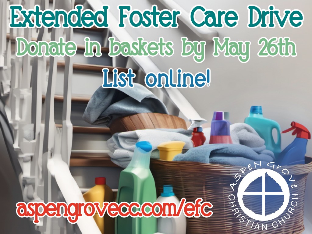 Extended Foster Care Donation image