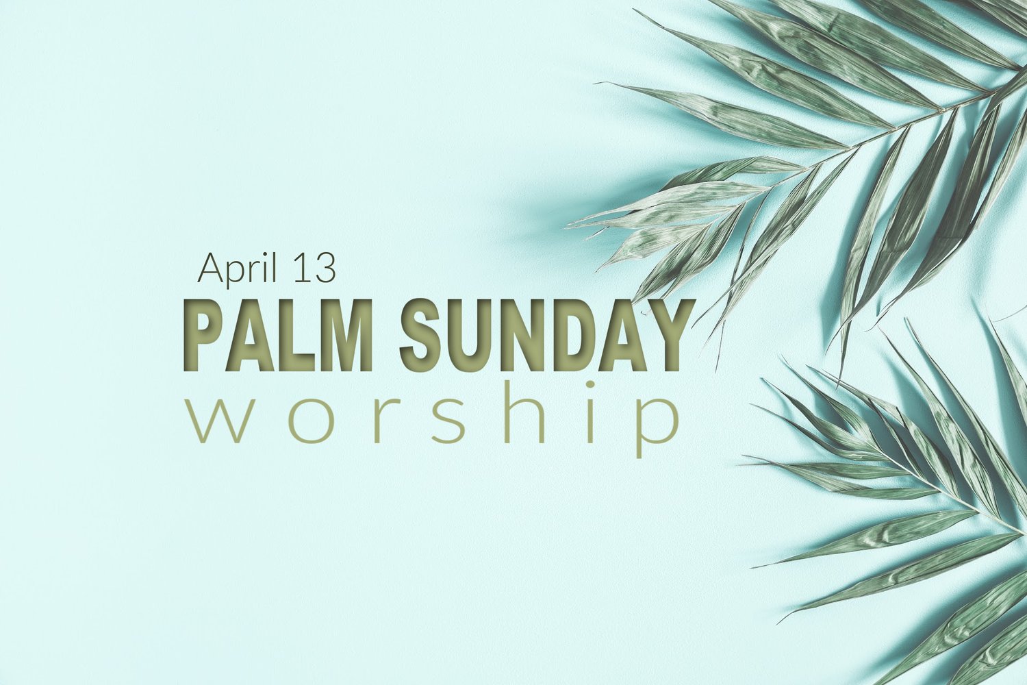 Palm Sunday 2025 image