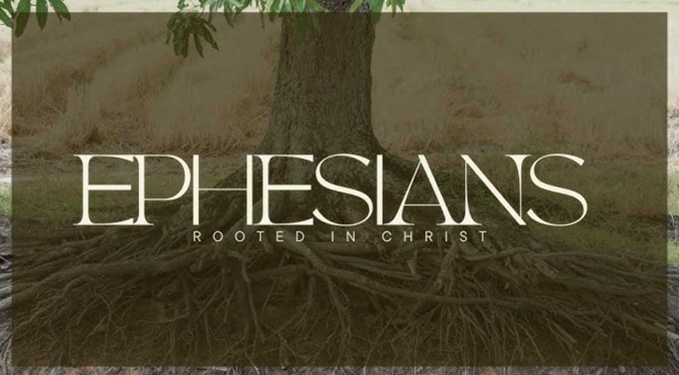 Rooted in Christ banner