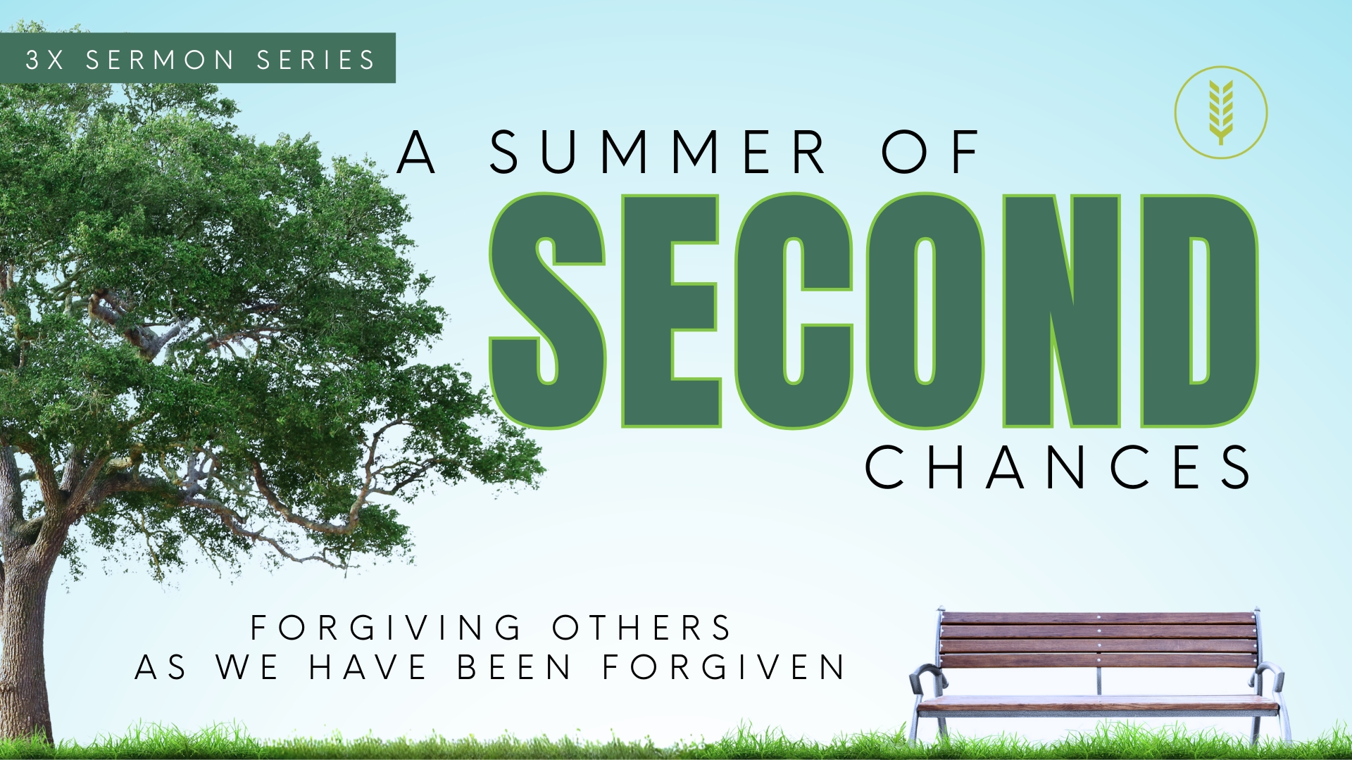 Summer Of Second Chances banner