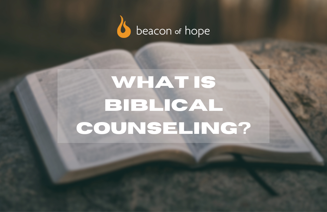 What is Biblical Counseling banner