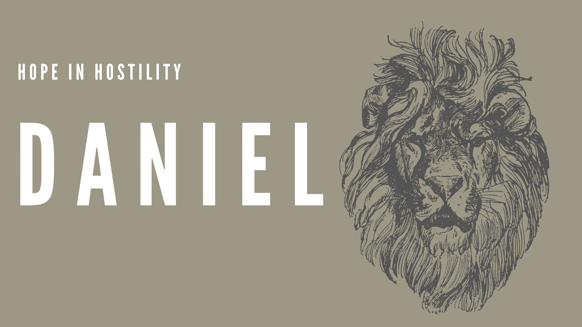 Daniel: Hope in Hostility banner