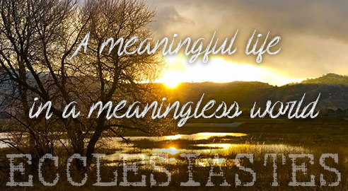 A Meaningful Life in a Meaningless World banner