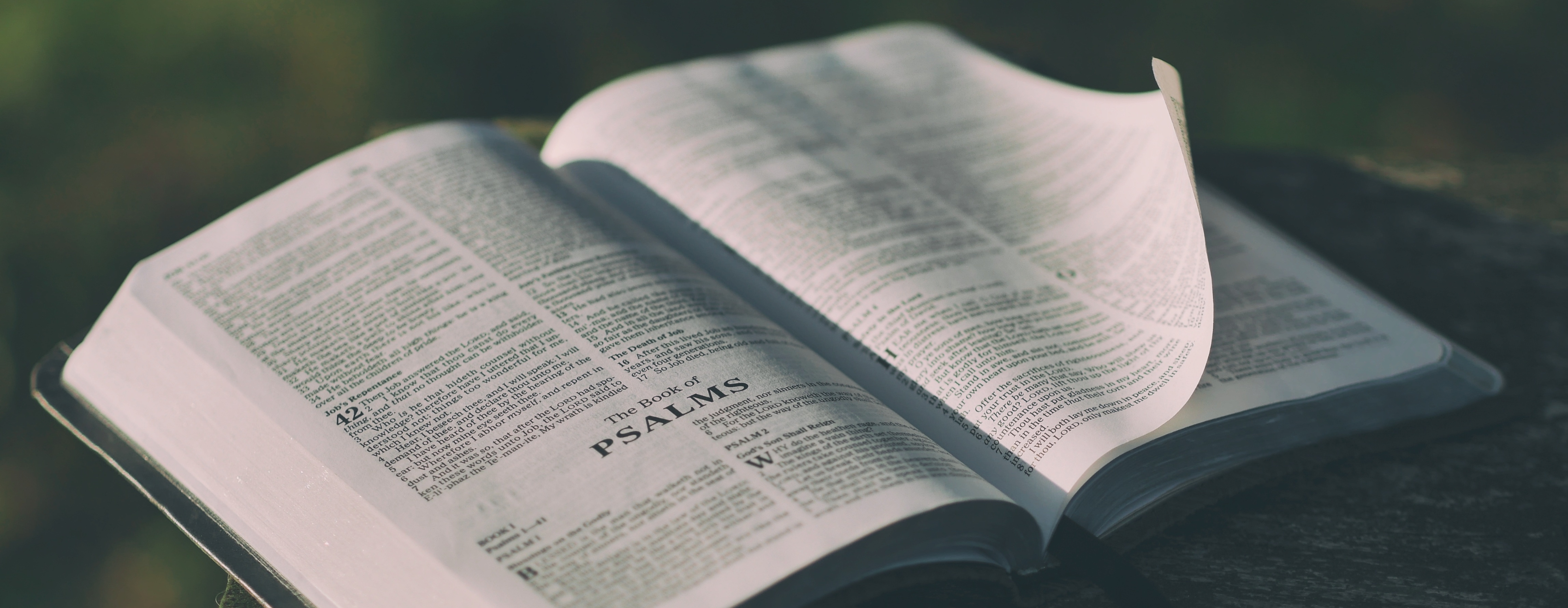 Bethany Bible Chapel: Cedar Falls, IA > The Book of 2nd Peter