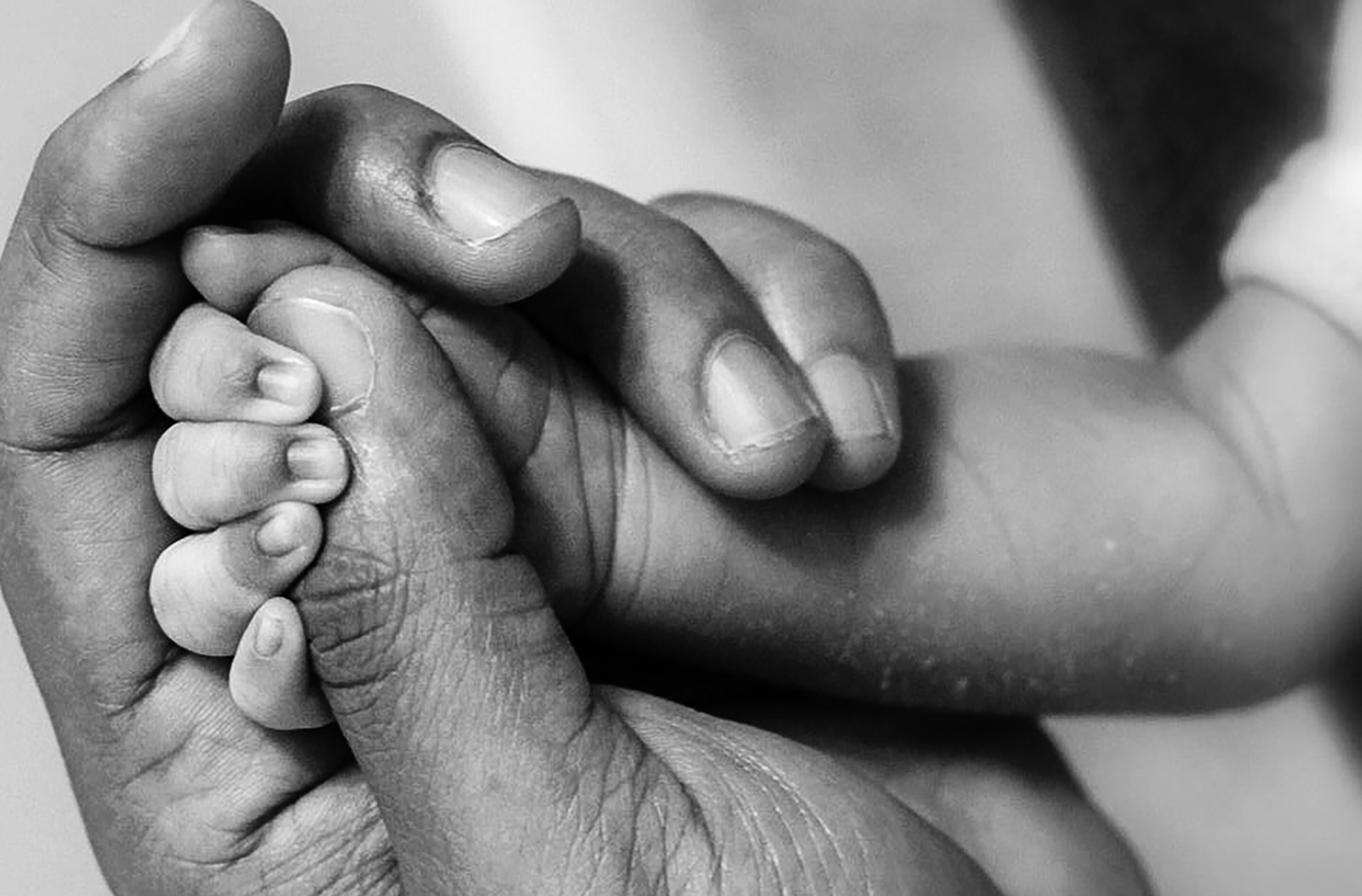 holding-hands-paternity-concept-2 image