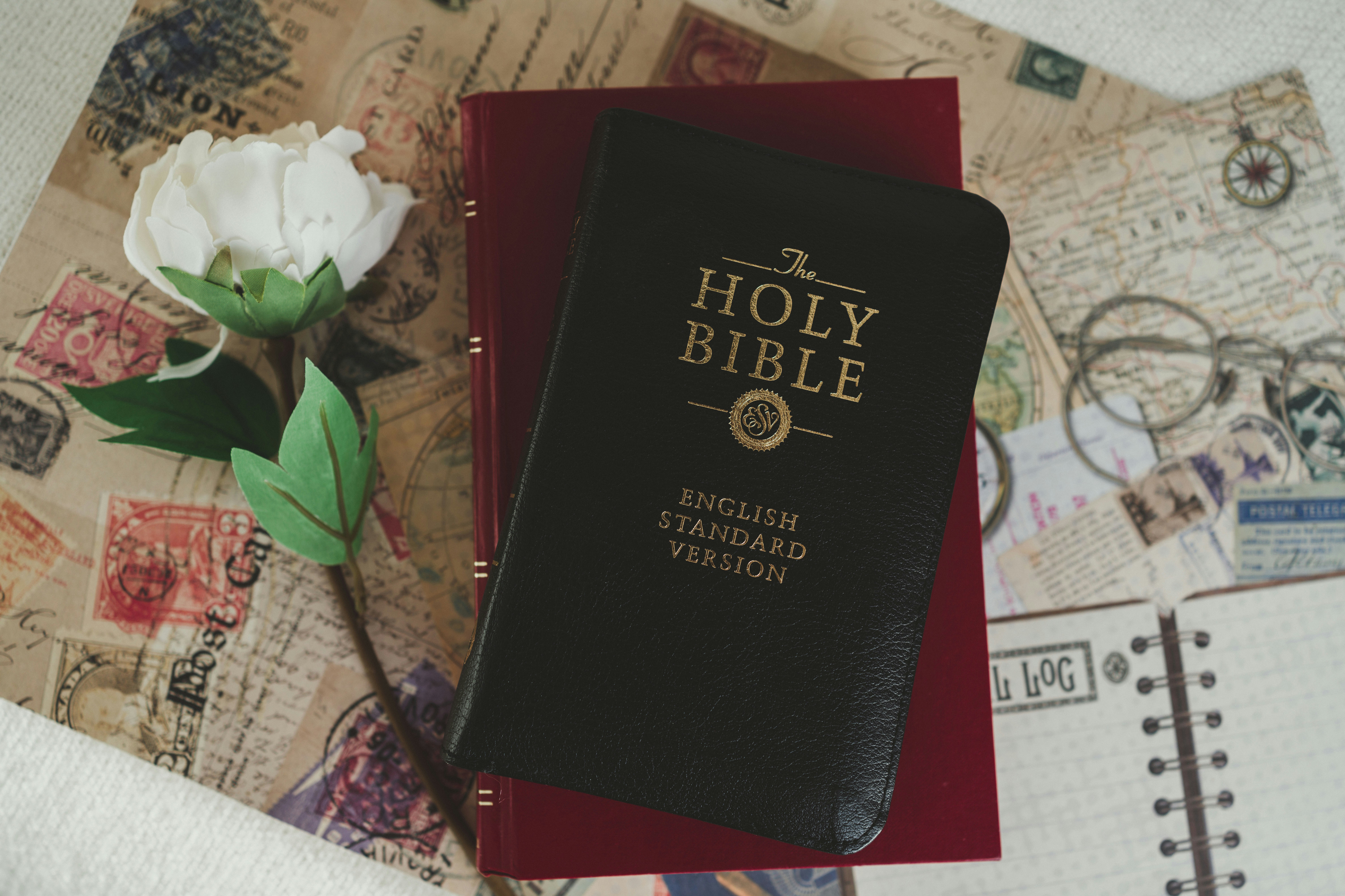 ayako-7wvRexIItCo-unsplash