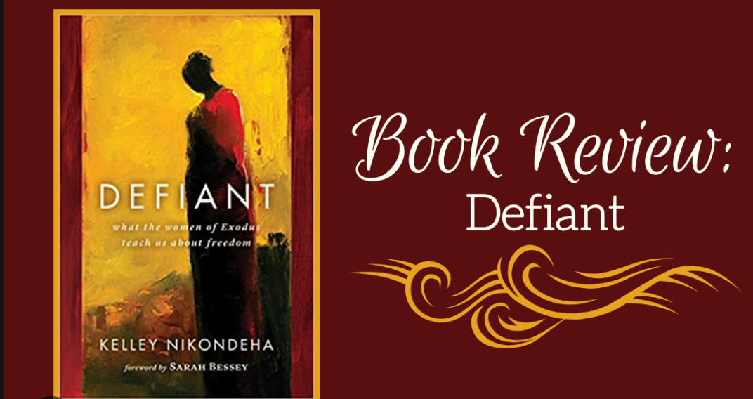 Book Defiant image