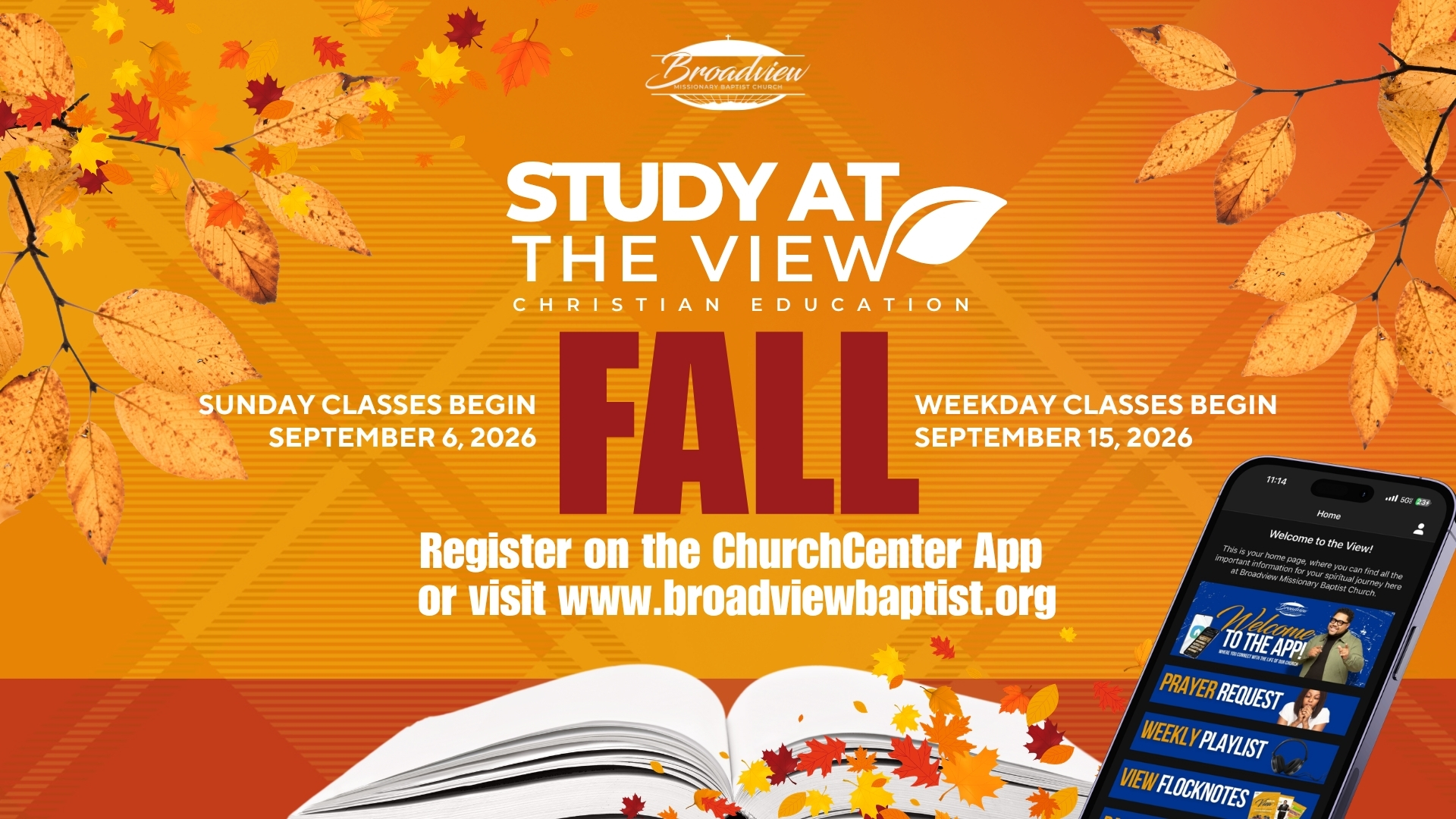 Study At The View - Fall