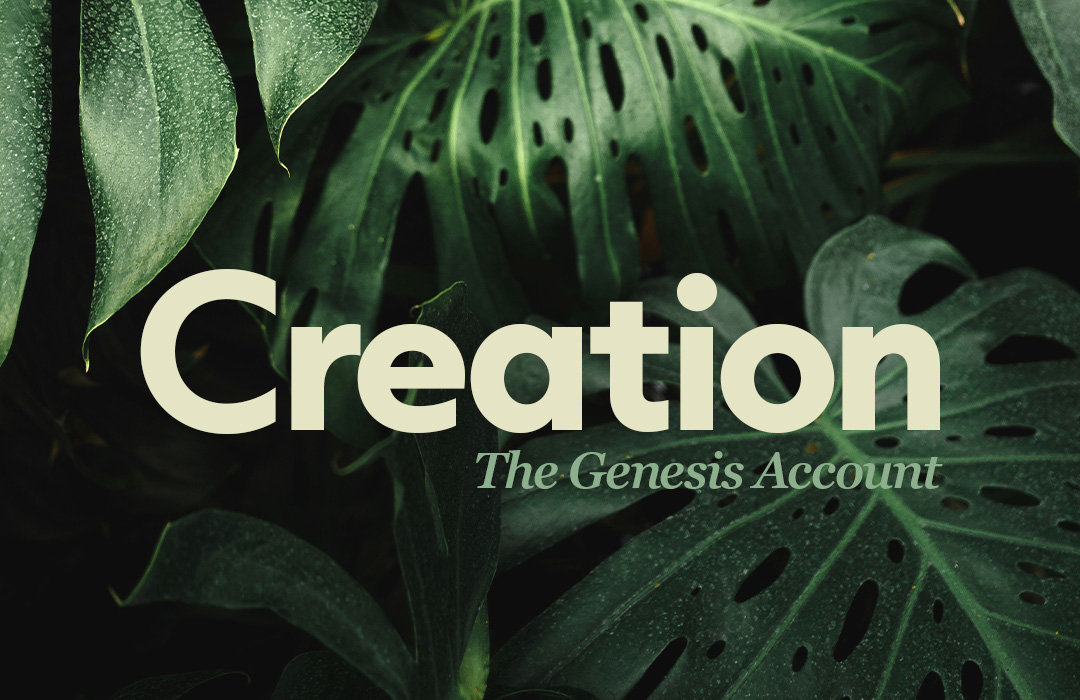 Creation image