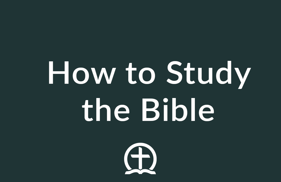 How to Study the Bible banner