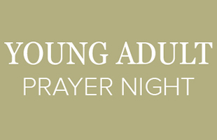 YoungAdultv2Sml