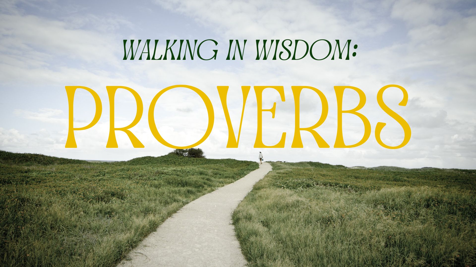 Walking in Wisdom: A Study through Proverbs banner