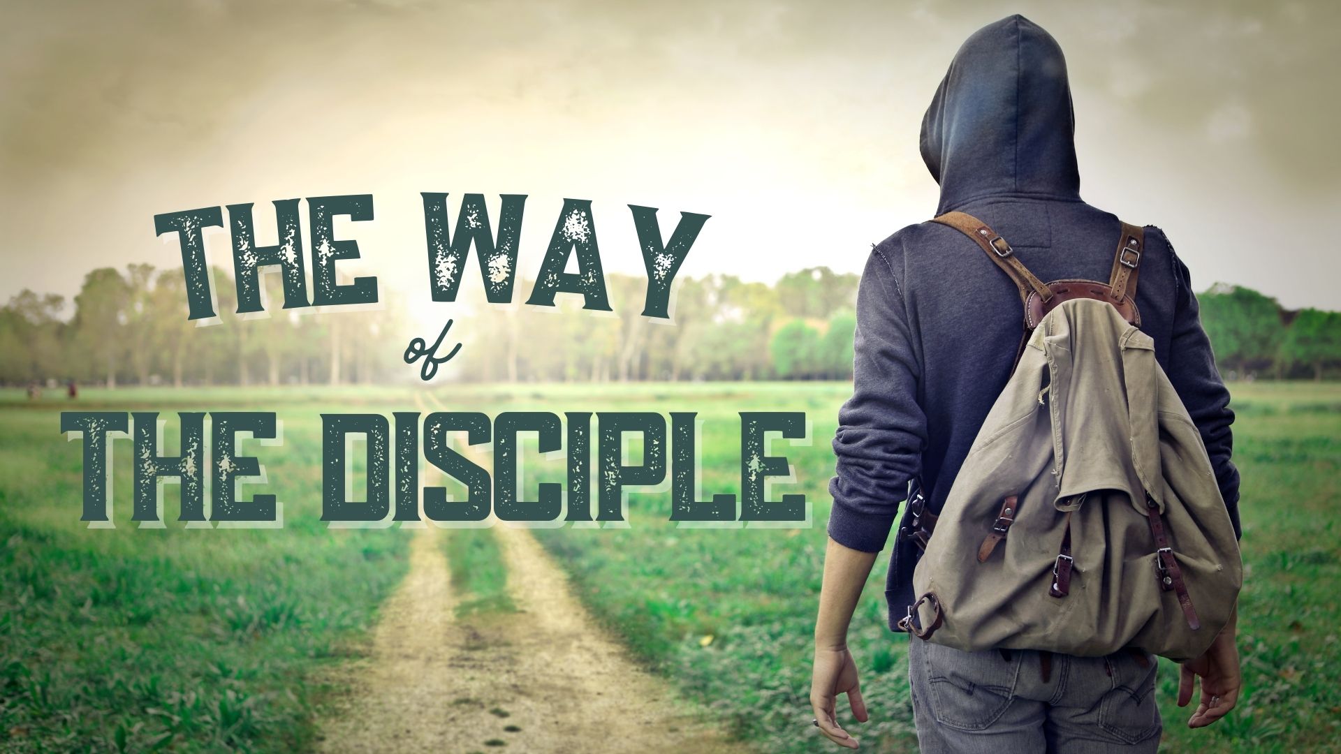 The Way of the Disciple