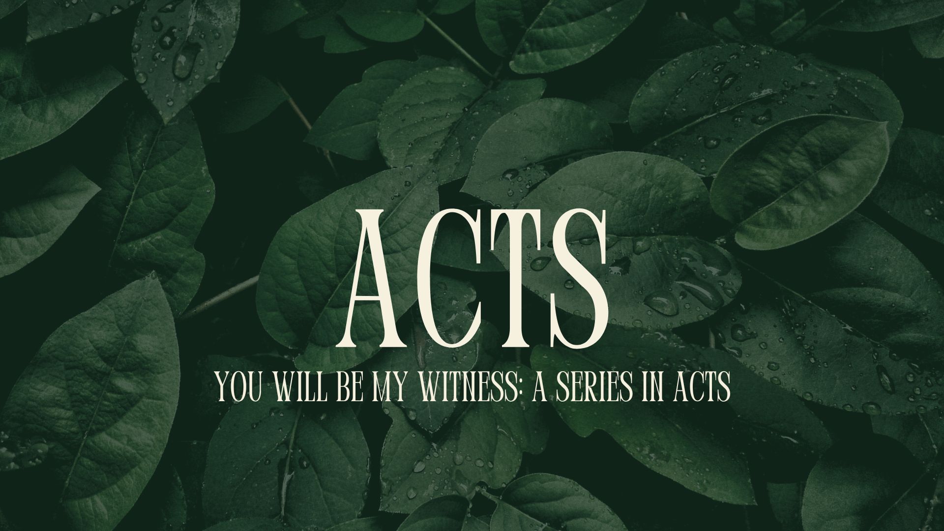 Acts banner