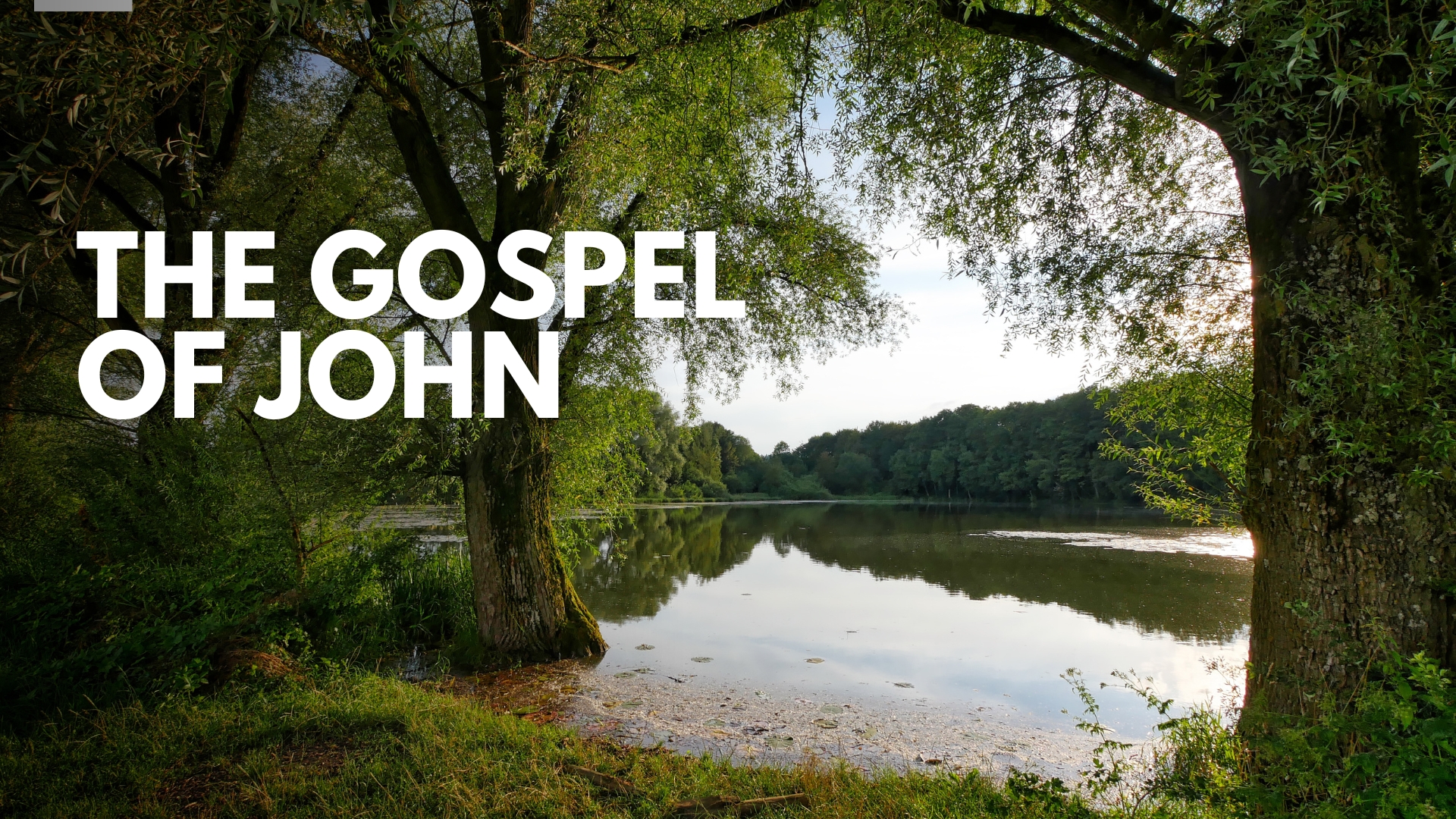 The Gospel of John image