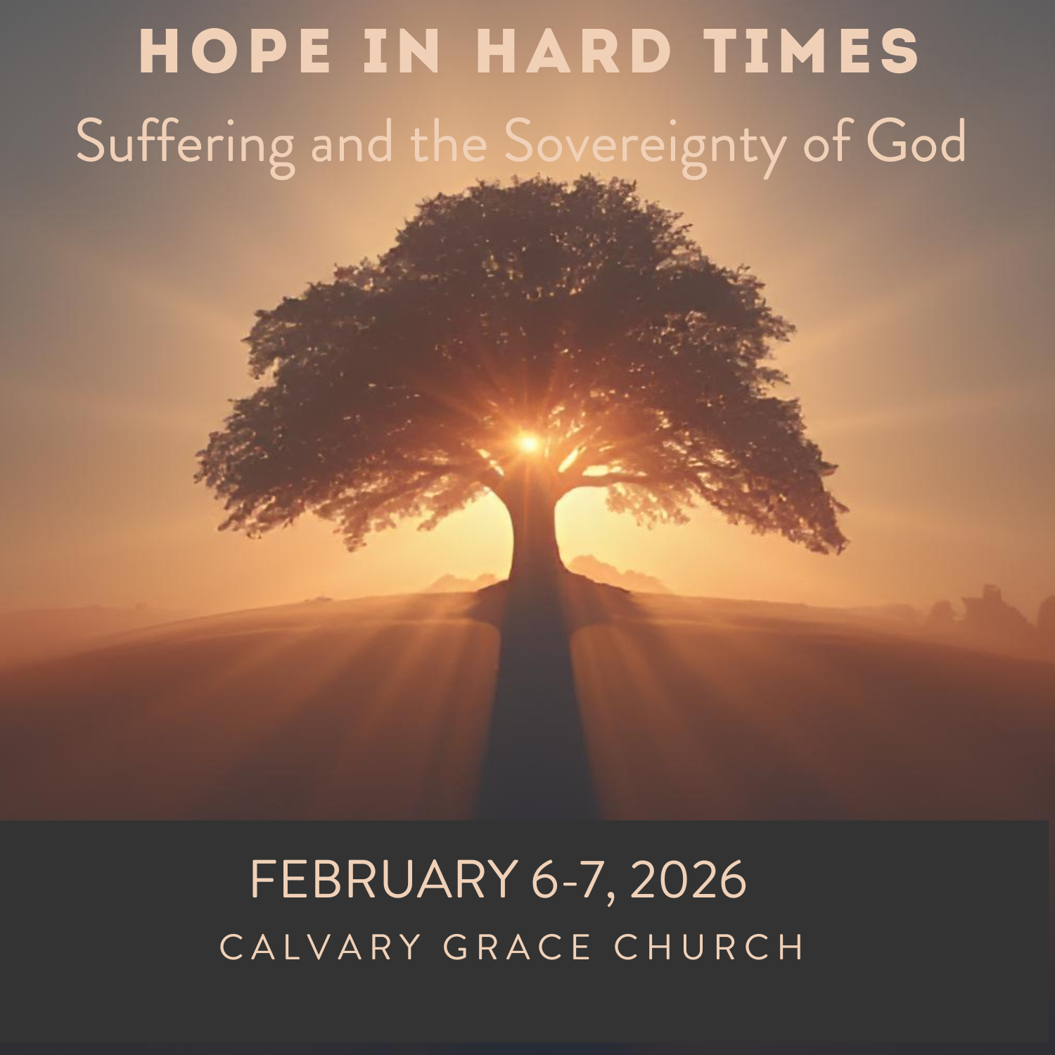 Hope in Hard Times: Suffering and the Sovereignty of God series image