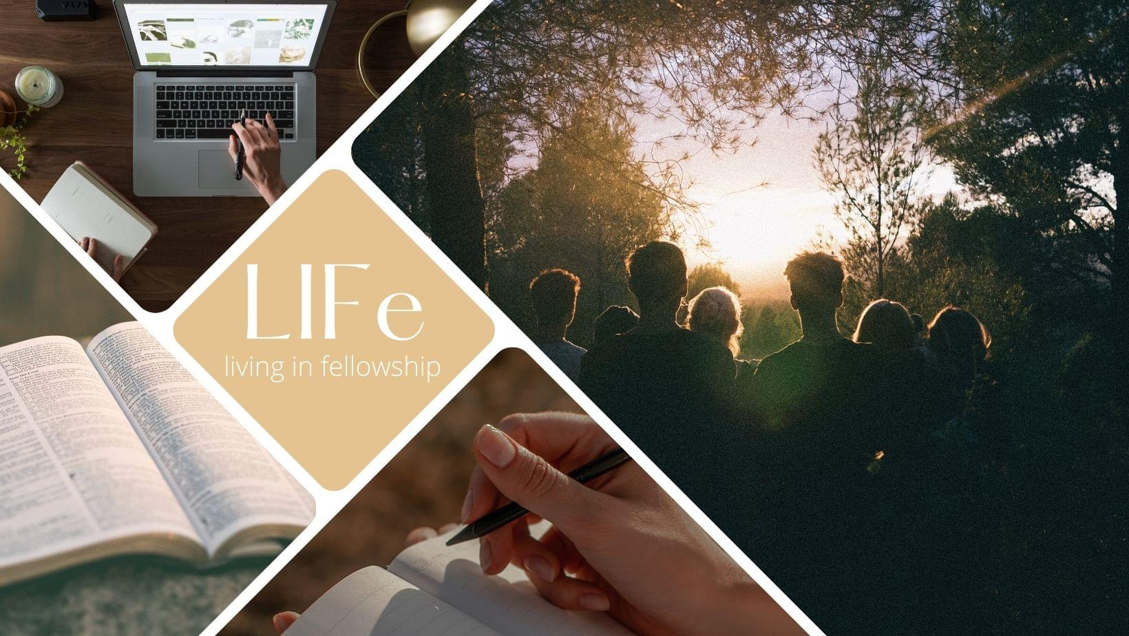 LIFe Image image