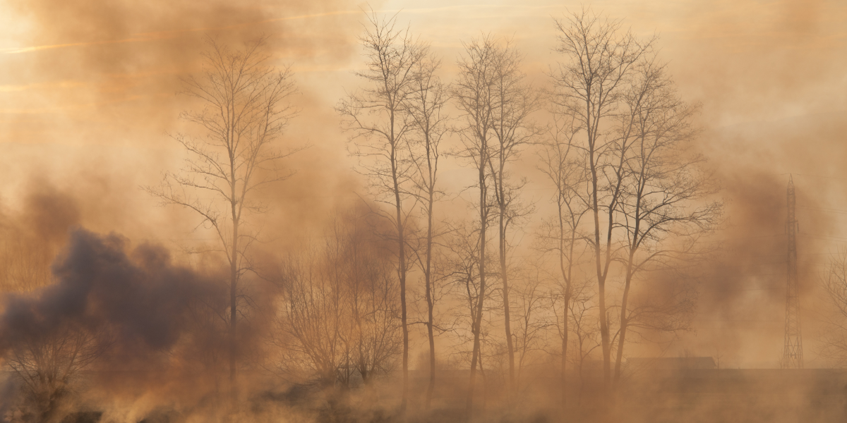 My project copy copy (28).PNG