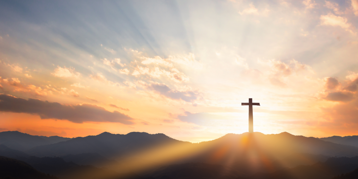 My project copy copy (33).PNG