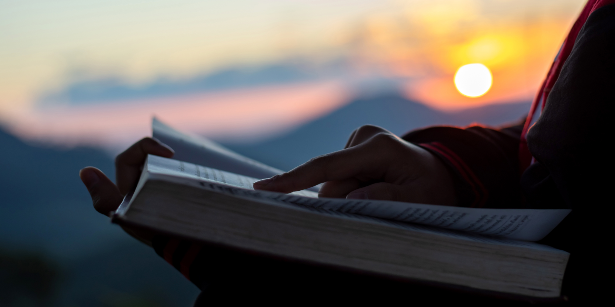 My project copy copy copy-2 (2).PNG