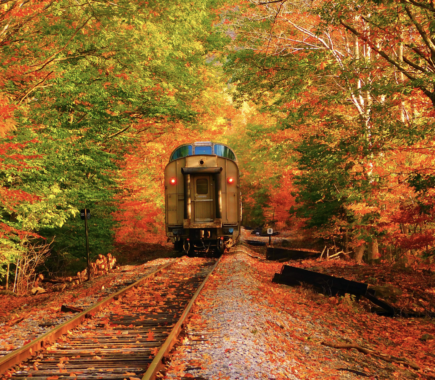 Fall Train Outing image