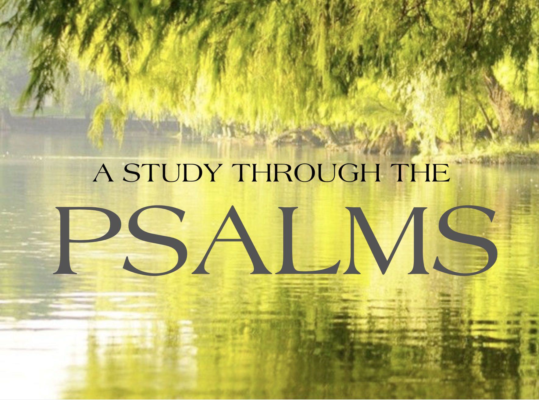 Summer Psalms Series