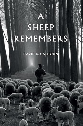 SheepRemembers