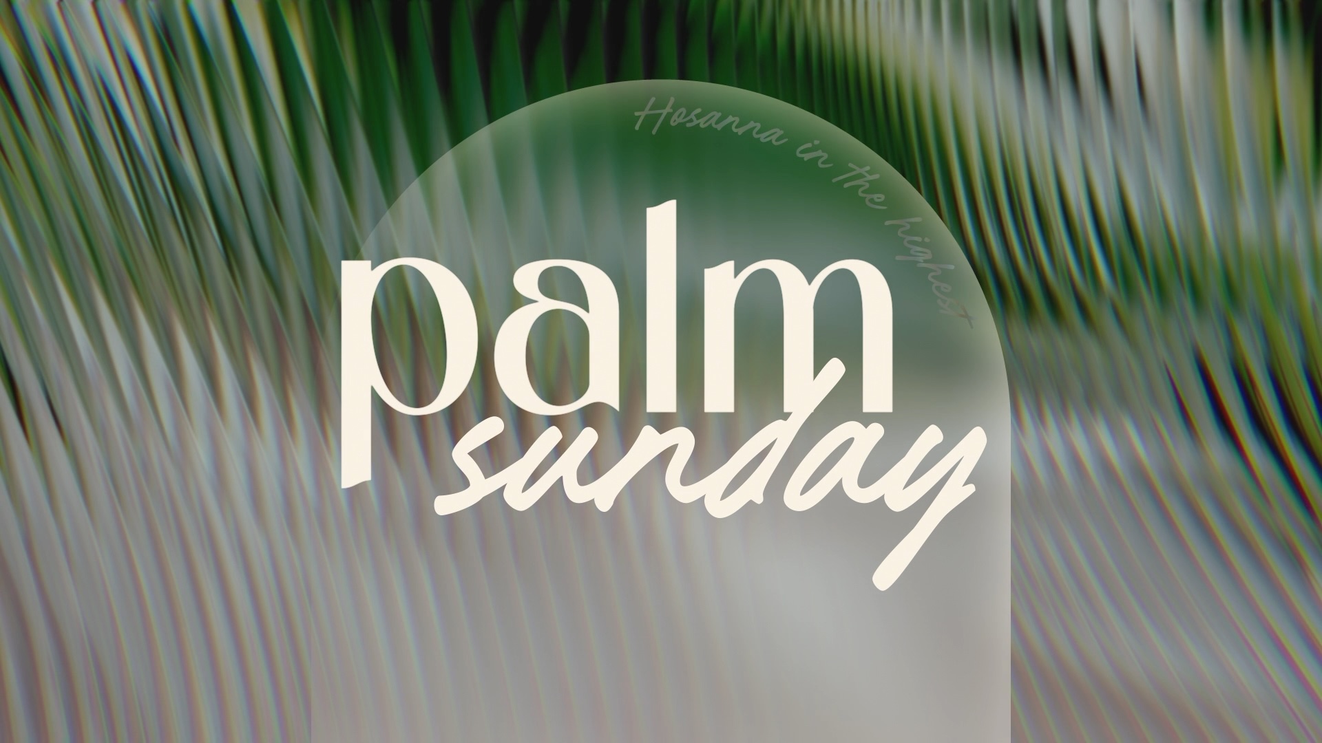 glorious_day_palm_sunday-Wide 16x9