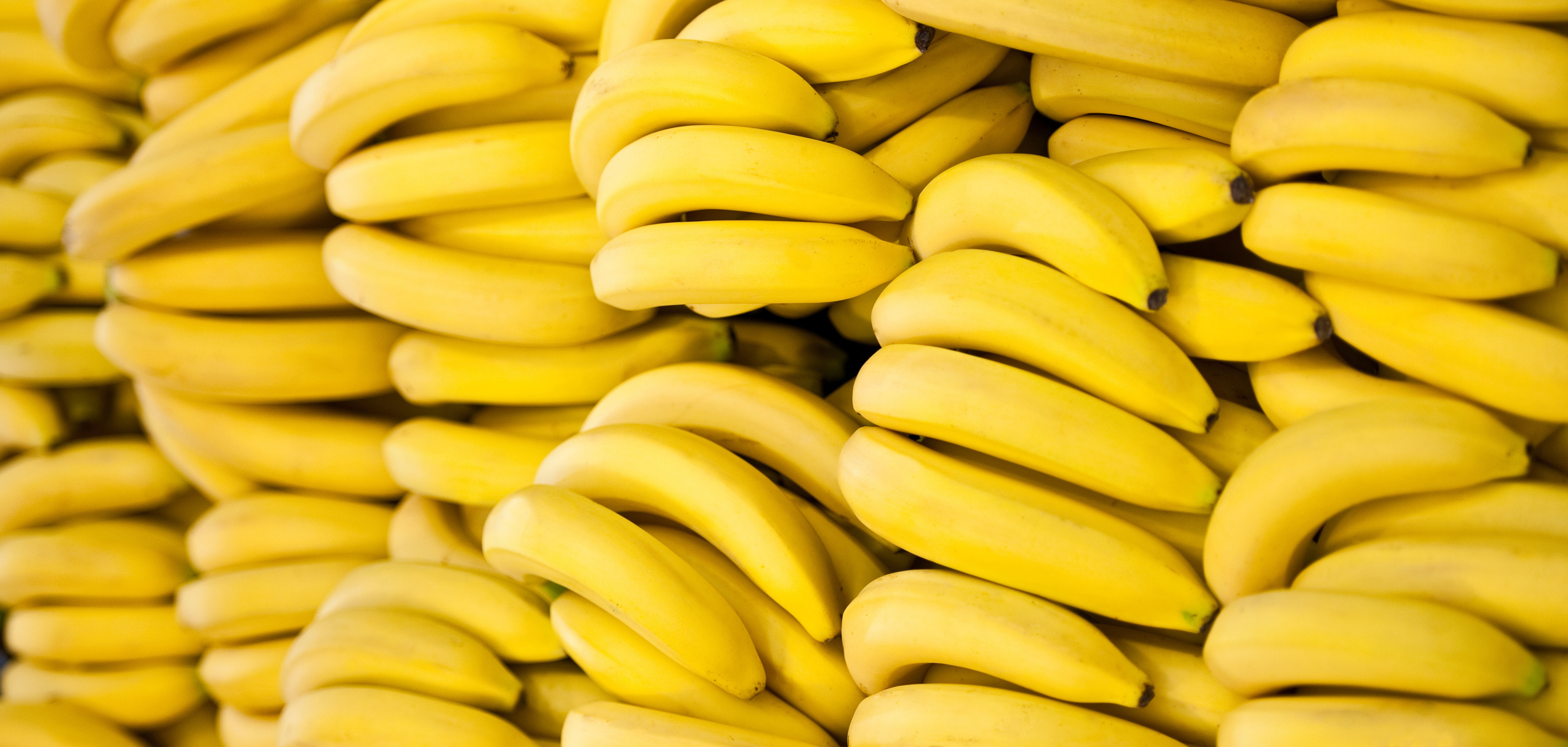 banana image