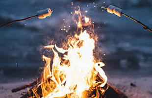 Bonfire Feature Image image