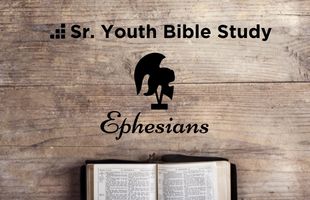 SY - Bible Study image
