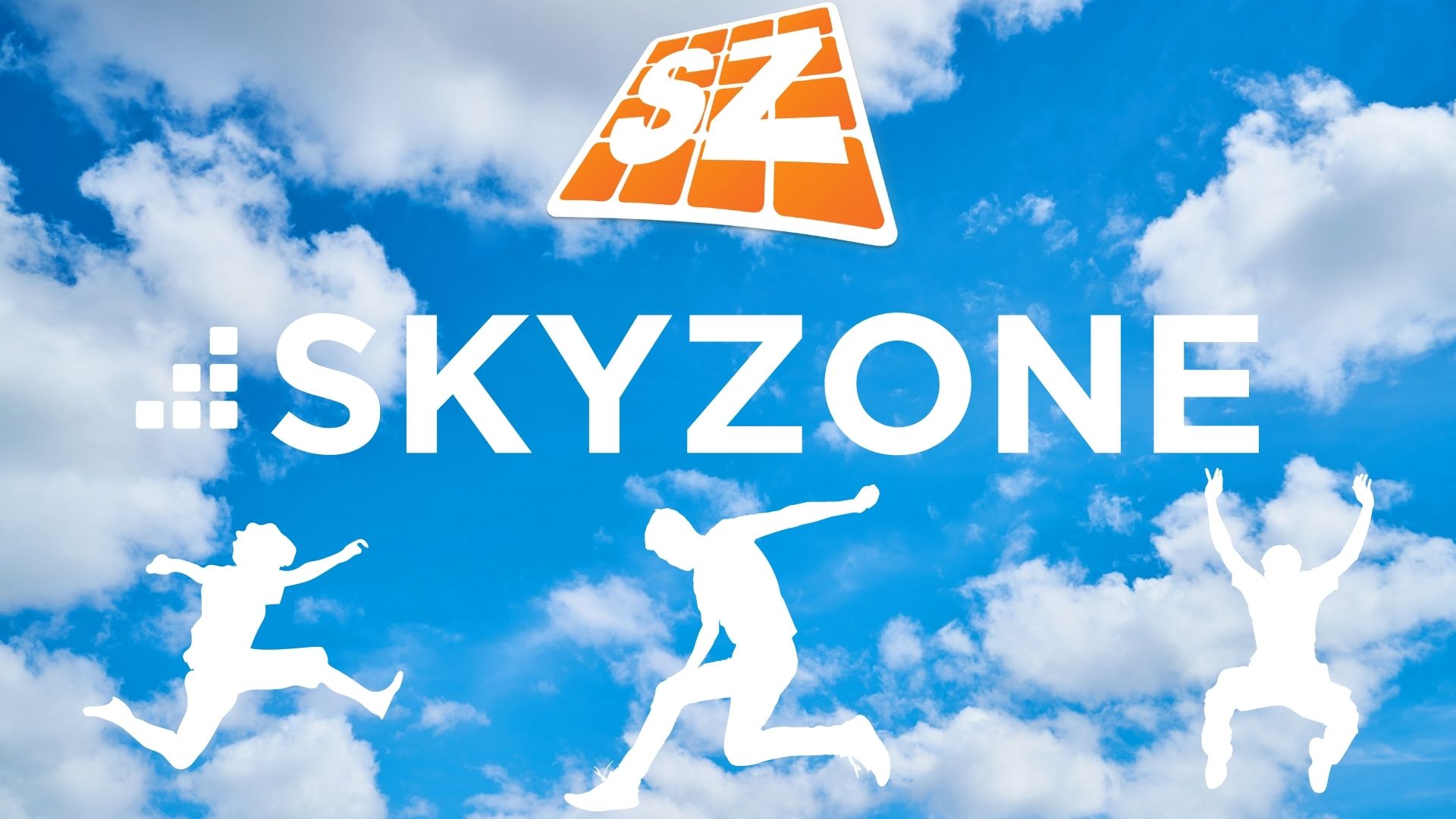SY - Skyzone1 image