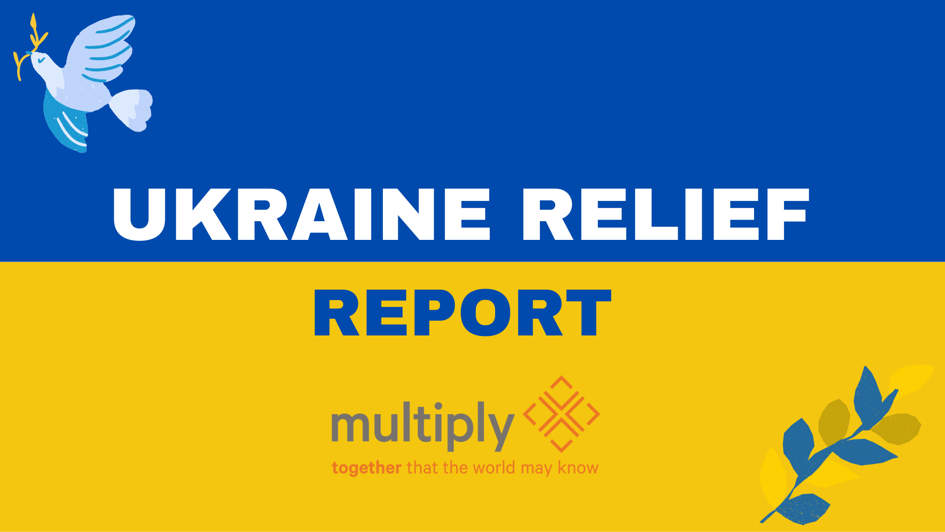 Ukraine Relief Report