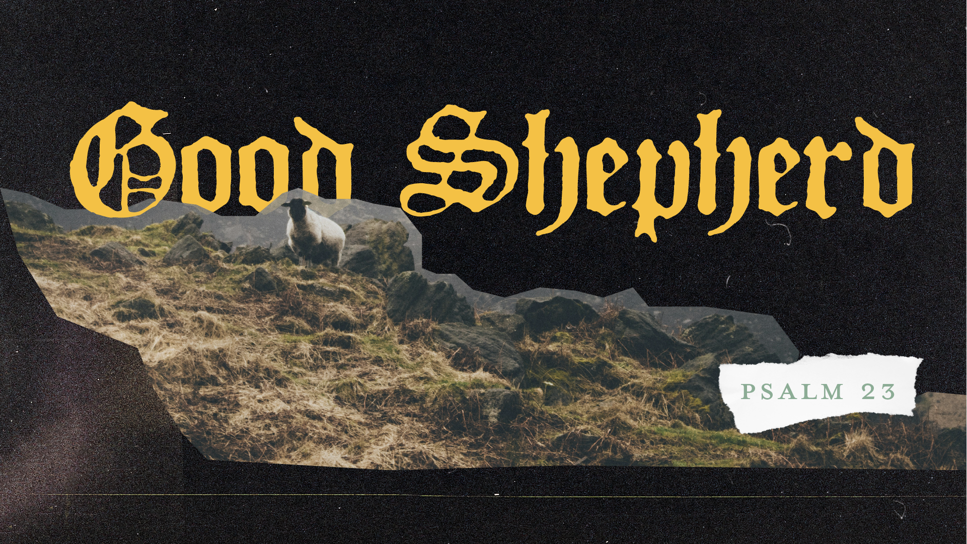 Good Shepherd