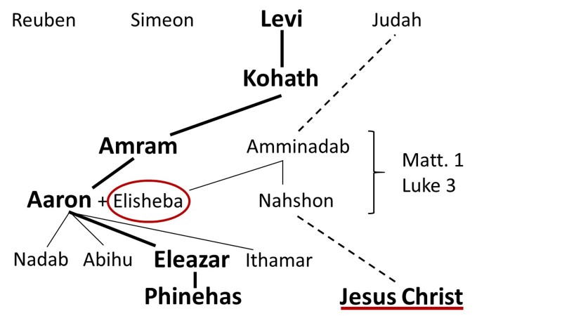 7_Levi - Judah connection