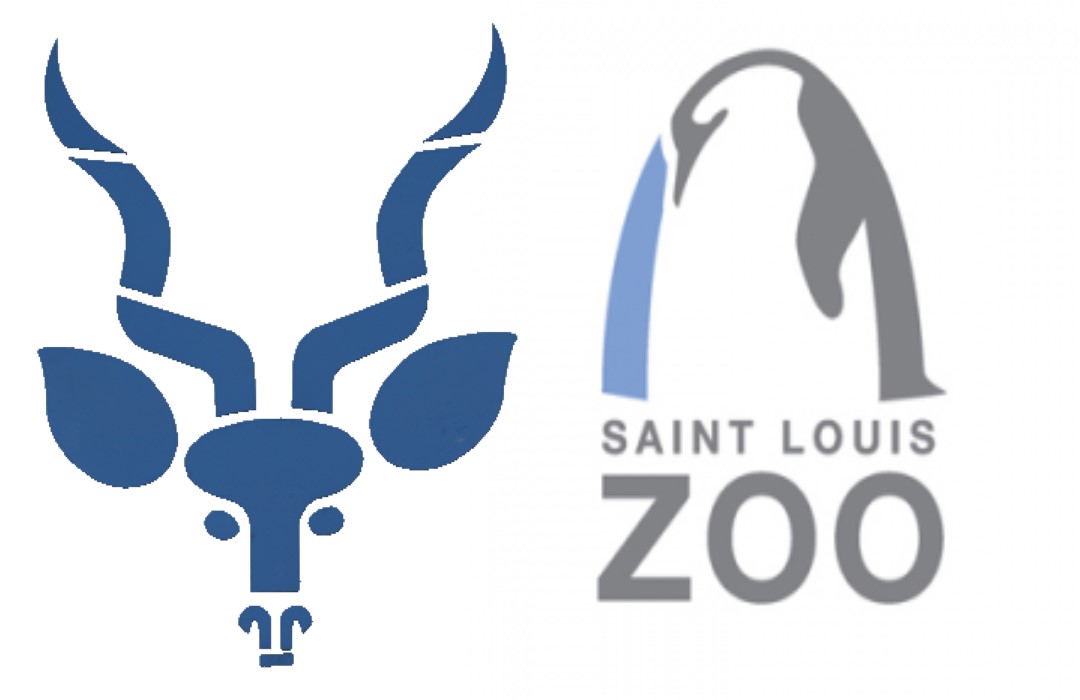 St Louis Zoo image