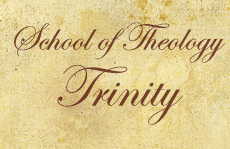 SoT Trinity banner