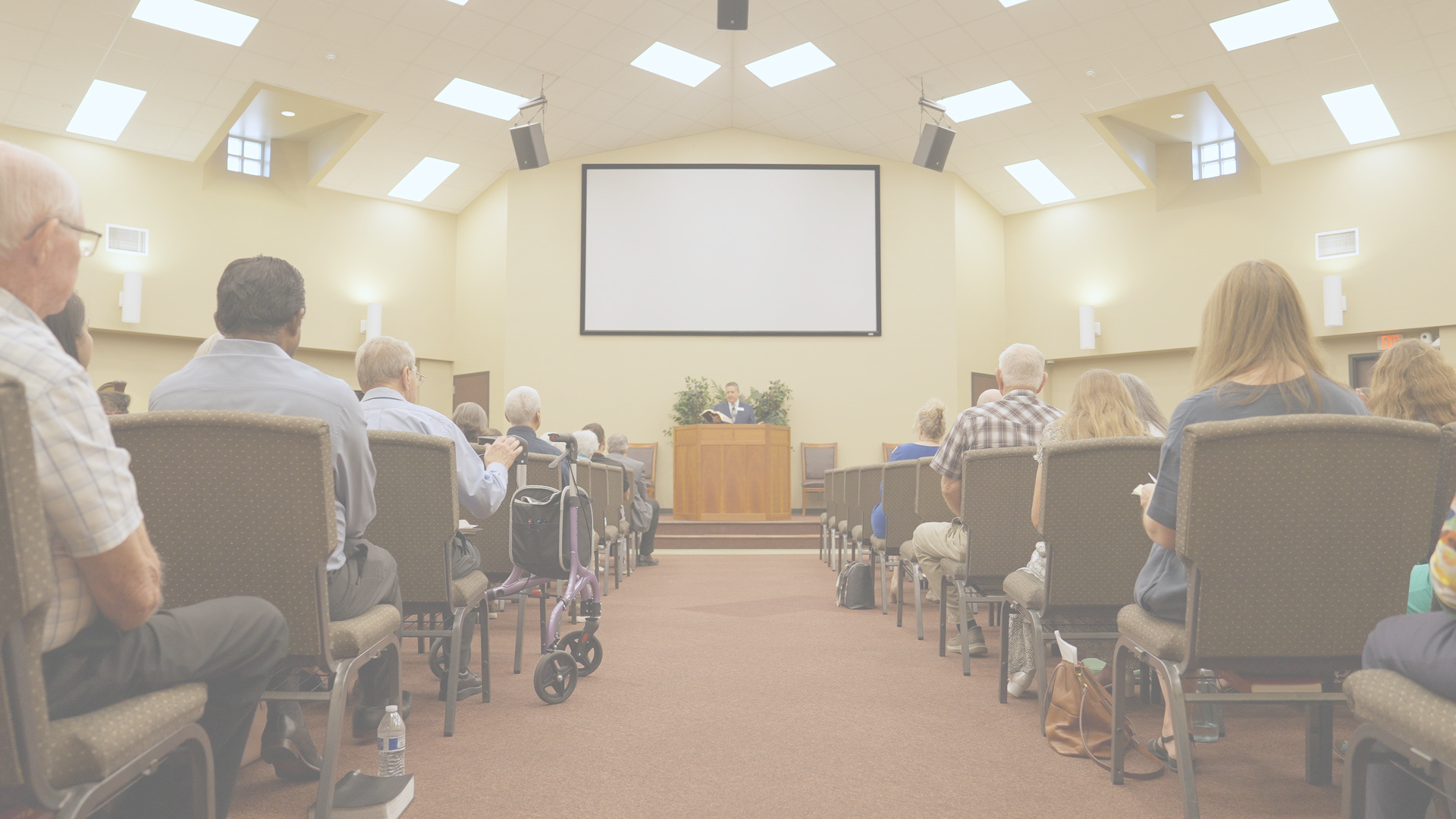 Senior Pastor Search
