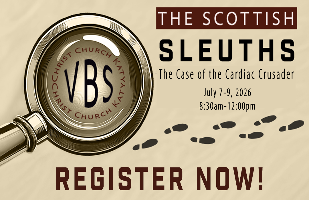 VBS Forms Image