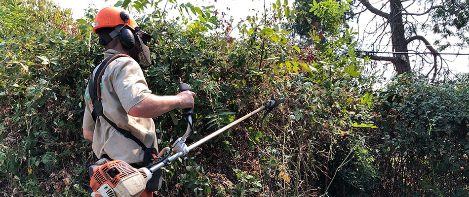 content-brush-clearing-machinery