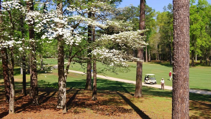 medium_image-1772643634118