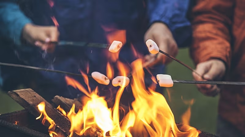 Smores-thumb-16x9 image